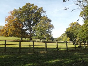 Autumn Colour